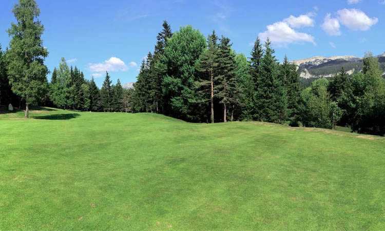 GolfdAlbon111