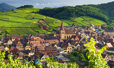 visites alsace vins