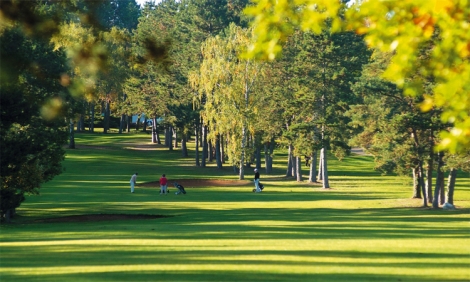 Golf De Dijon Bourgogne 